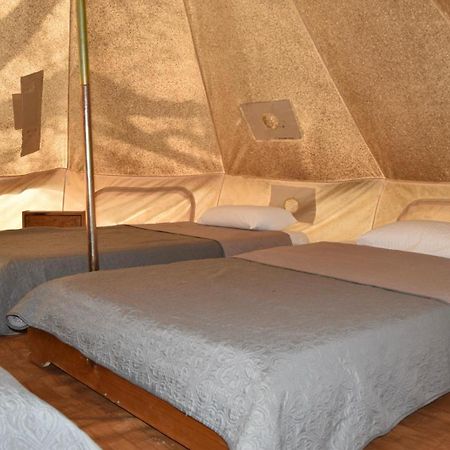 Camping Oliana Exteriör bild