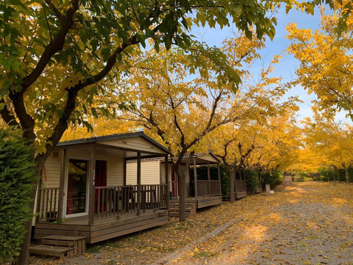 Camping Oliana Exteriör bild