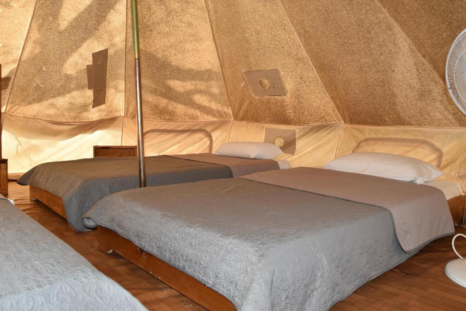 Camping Oliana Exteriör bild